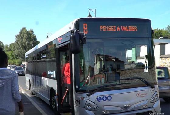 bus
