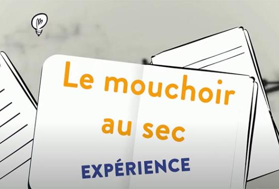 Vidéo mouchoir au sec
