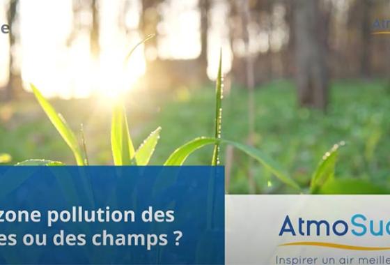 Vidéo ozone ville ou champs