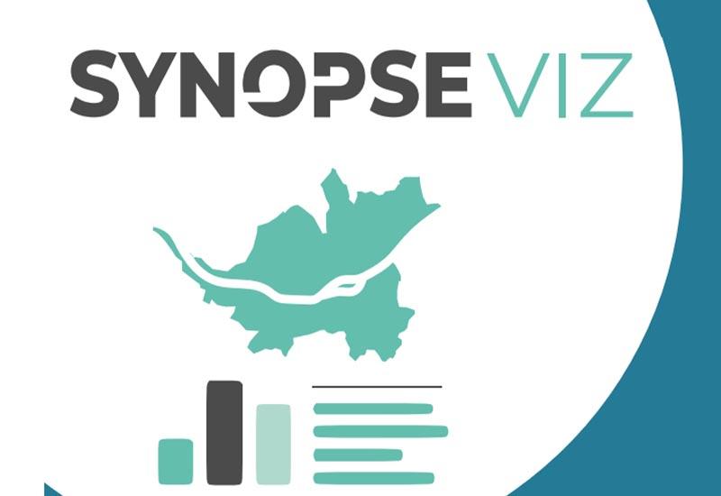 synopse viz