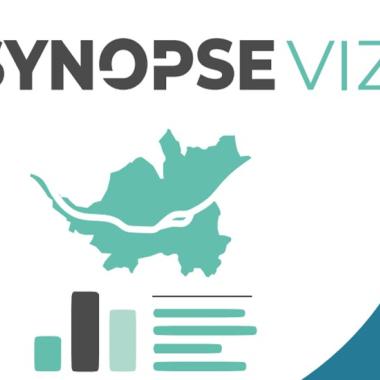 synopse viz